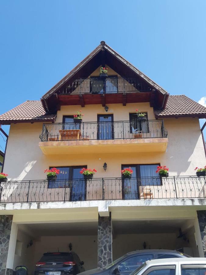 Casa Gabi Hotel Bran  Buitenkant foto